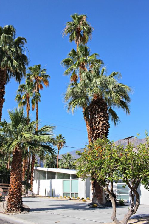 Mid-Century Modern in Twin Palms - Finding Beautiful Truth