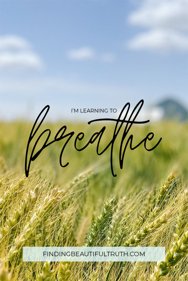 Self-Care: Learning to Relax, Unwind + Breathe - Finding Beautiful Truth